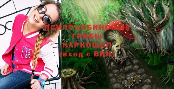 ПСИЛОЦИБИНОВЫЕ ГРИБЫ Абинск