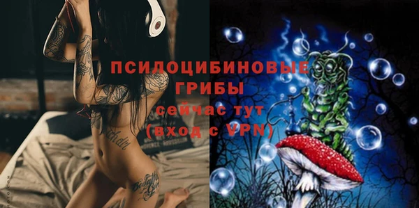ПСИЛОЦИБИНОВЫЕ ГРИБЫ Абинск