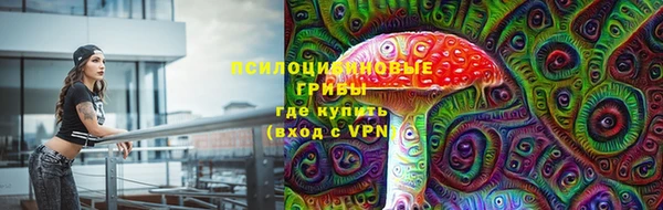 ПСИЛОЦИБИНОВЫЕ ГРИБЫ Абинск
