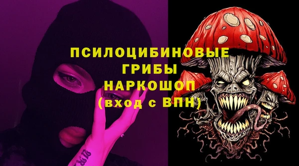 ECSTASY Абаза
