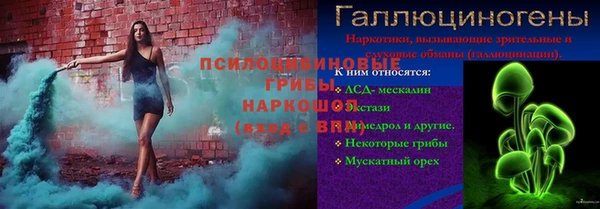 ПСИЛОЦИБИНОВЫЕ ГРИБЫ Абинск