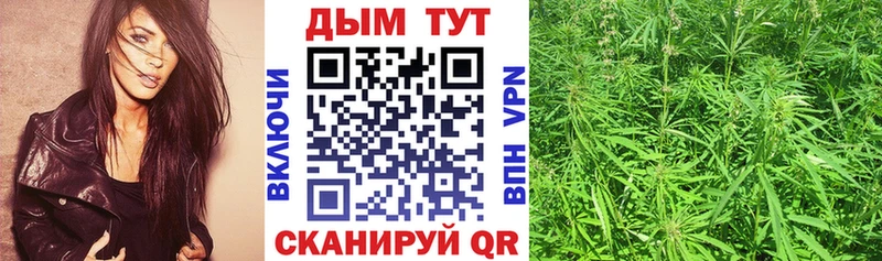Канабис план  Пошехонье 
